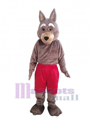 Coyote mascot costume
