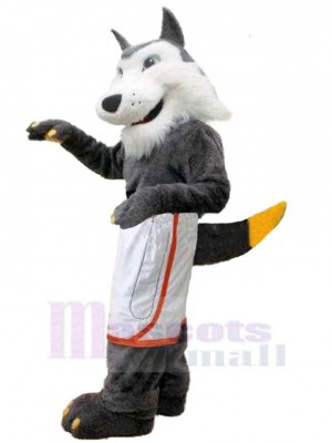 Wolf mascot costume