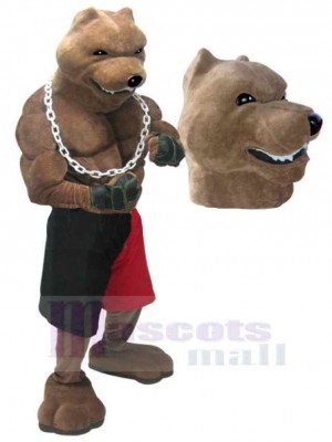 Wolf mascot costume