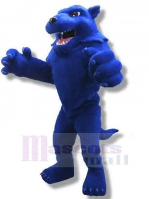 Wolf mascot costume
