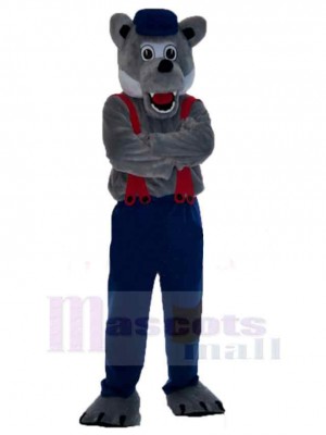 Wolf mascot costume