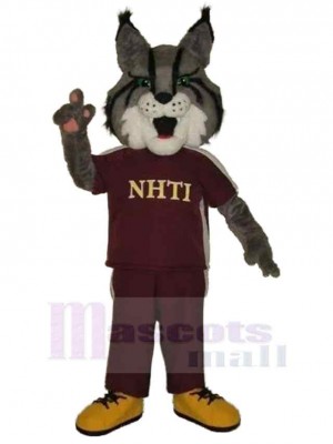 Wolf mascot costume