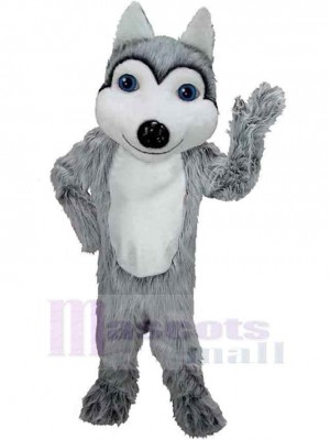Wolf mascot costume