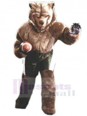 Wolf mascot costume