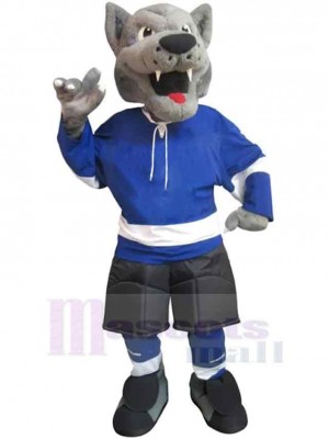Wolf mascot costume