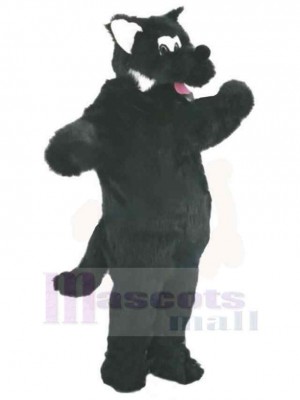 Wolf mascot costume