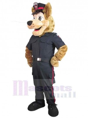 Wolf mascot costume