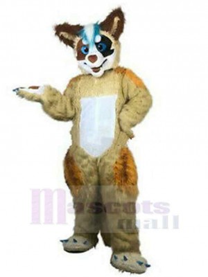 Wolf mascot costume