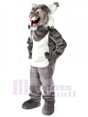 Wolf mascot costume