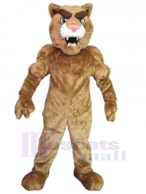 Lion mascot costume