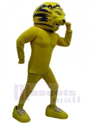 Lion mascot costume