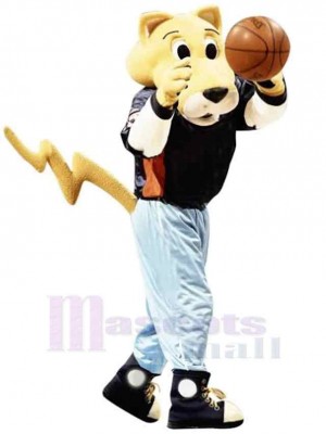 Leopard mascot costume