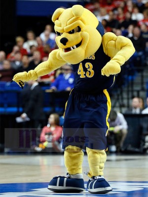 dog mascot costume