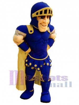 Knight mascot costume