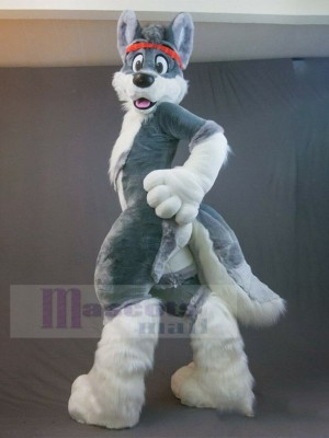 Dog mascot costume