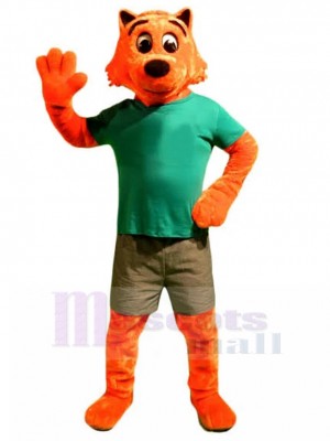 cat mascot costume