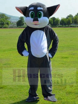 cat mascot costume