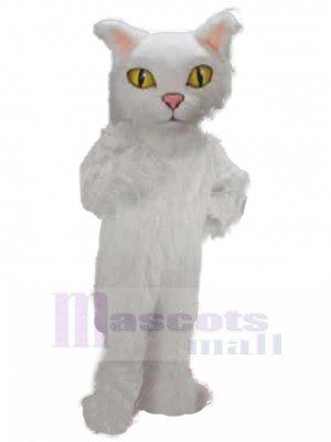 cat mascot costume
