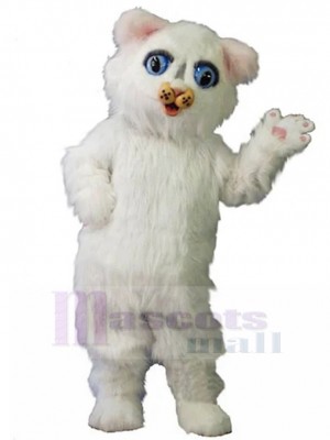 cat mascot costume