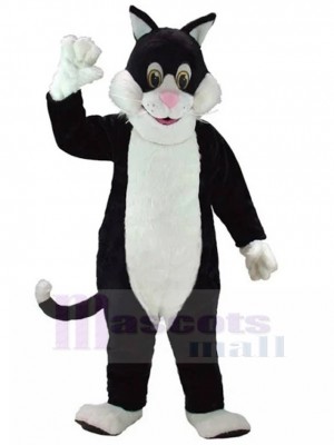 cat mascot costume