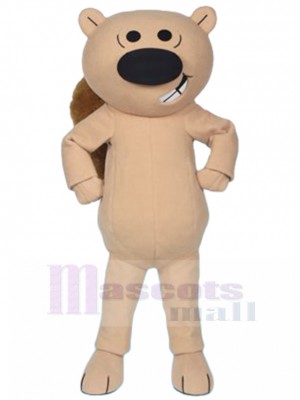 Squirrel mascot costume