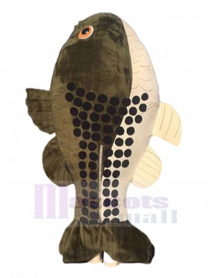 Fish mascot costume