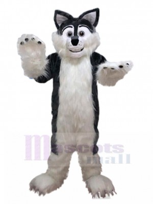 wolf mascot costume