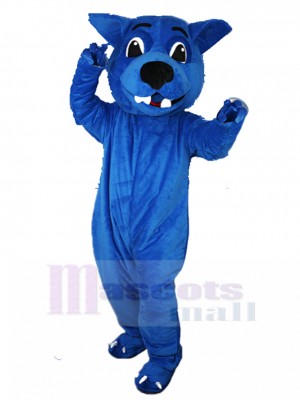 wolf mascot costume