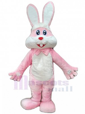 Rabbit mascot costume
