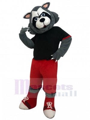 wolf mascot costume