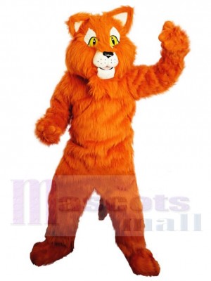 Tiger mascot costume