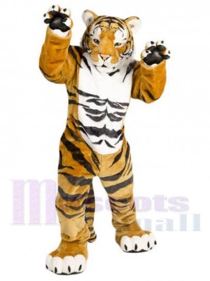 Tiger mascot costume