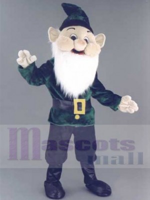 Elf mascot costume