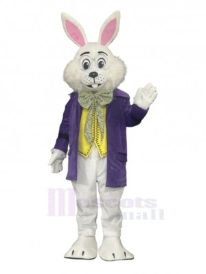 Easter Bunny Rabbit mascot costume