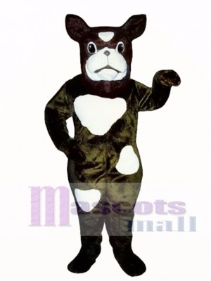 Cute Boxer Dog Mascot Costume
