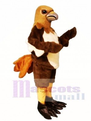 Red Tail Hawk Mascot Costume