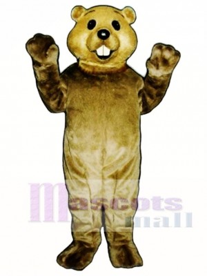 Cute Groundhog Mascot Costume