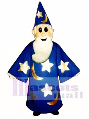 Wizard Mascot Costume