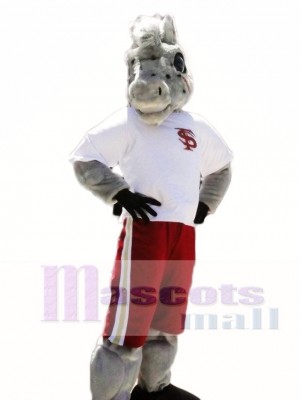 Sport School Horse Mascot Costumes Animal