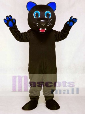 Sir Purr with Royal Blue Ears Mascot Costume of the Carolina Panthers 