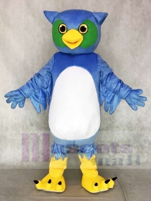 Cute Blue and Green Owl Mascot Costumes Animal