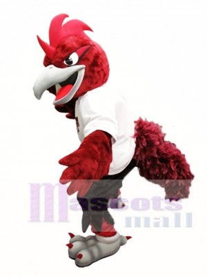 Red Roadrunner Mascot Costume Roadrunners College Mascot Costumes