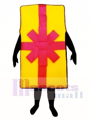 Big Gift Mascot Costume