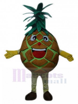 Pineapple mascot costume