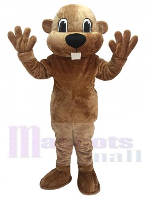 Alex the Beaver Mascot Costume Animal