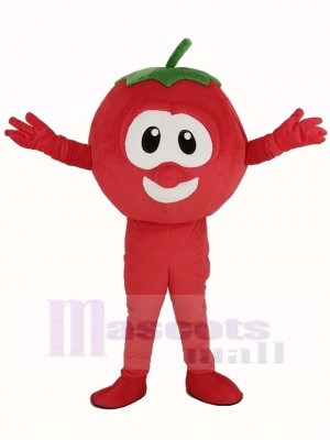 VeggieTales Character Tomato Bob Mascot Costume Cartoon