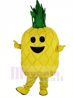 Pineapple Fruit Mascot Costume Cartoon	