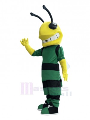 Hornet mascot costume