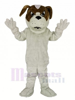 Saint Bernard Dog Mascot Costume Cartoon