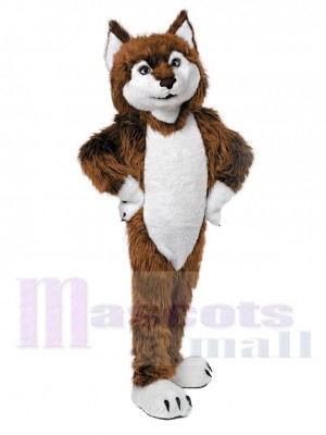 Wolf mascot costume